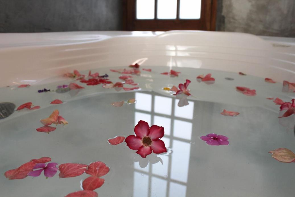 Breathe Healing & Wellness Hotel Cambutal Bagian luar foto