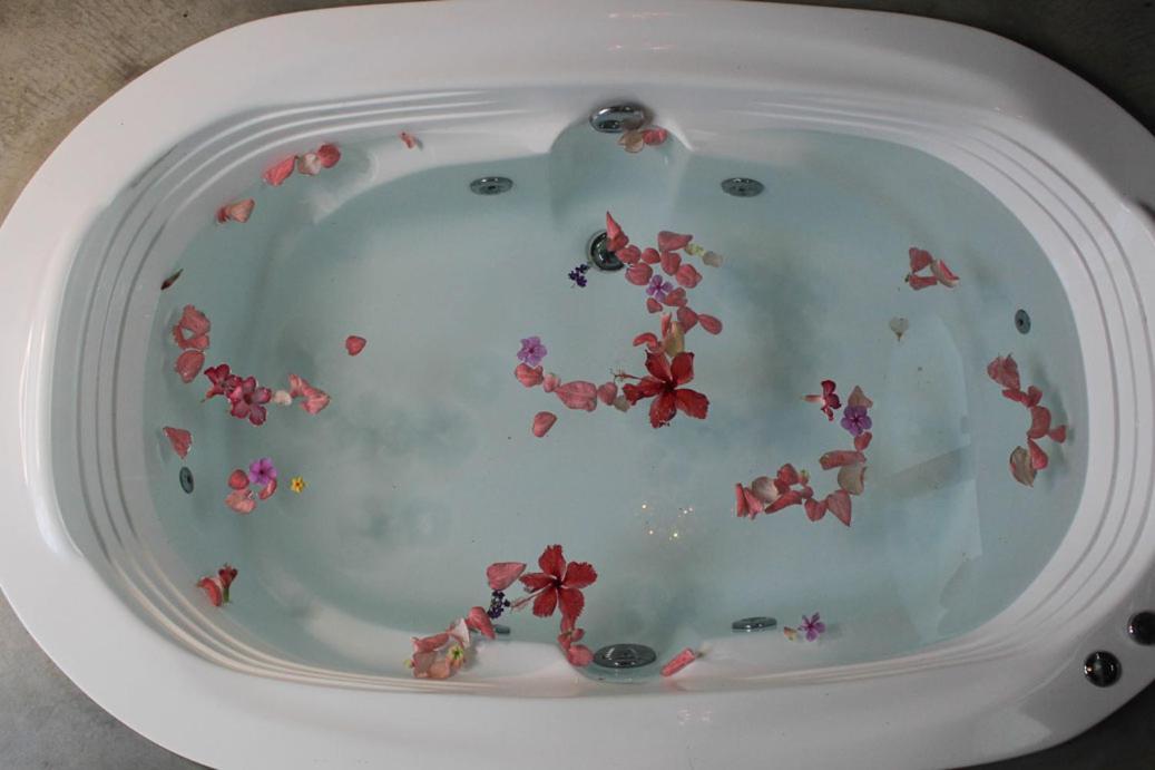 Breathe Healing & Wellness Hotel Cambutal Bagian luar foto